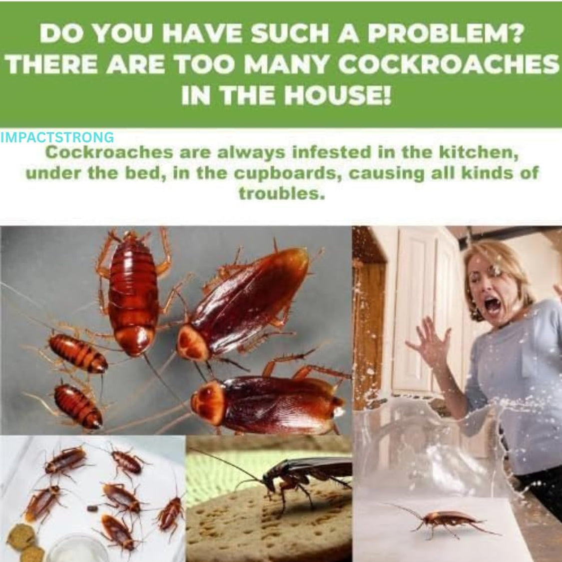 Natural Cockroaches Killer for Kitchens Bathrooms Cabinets
