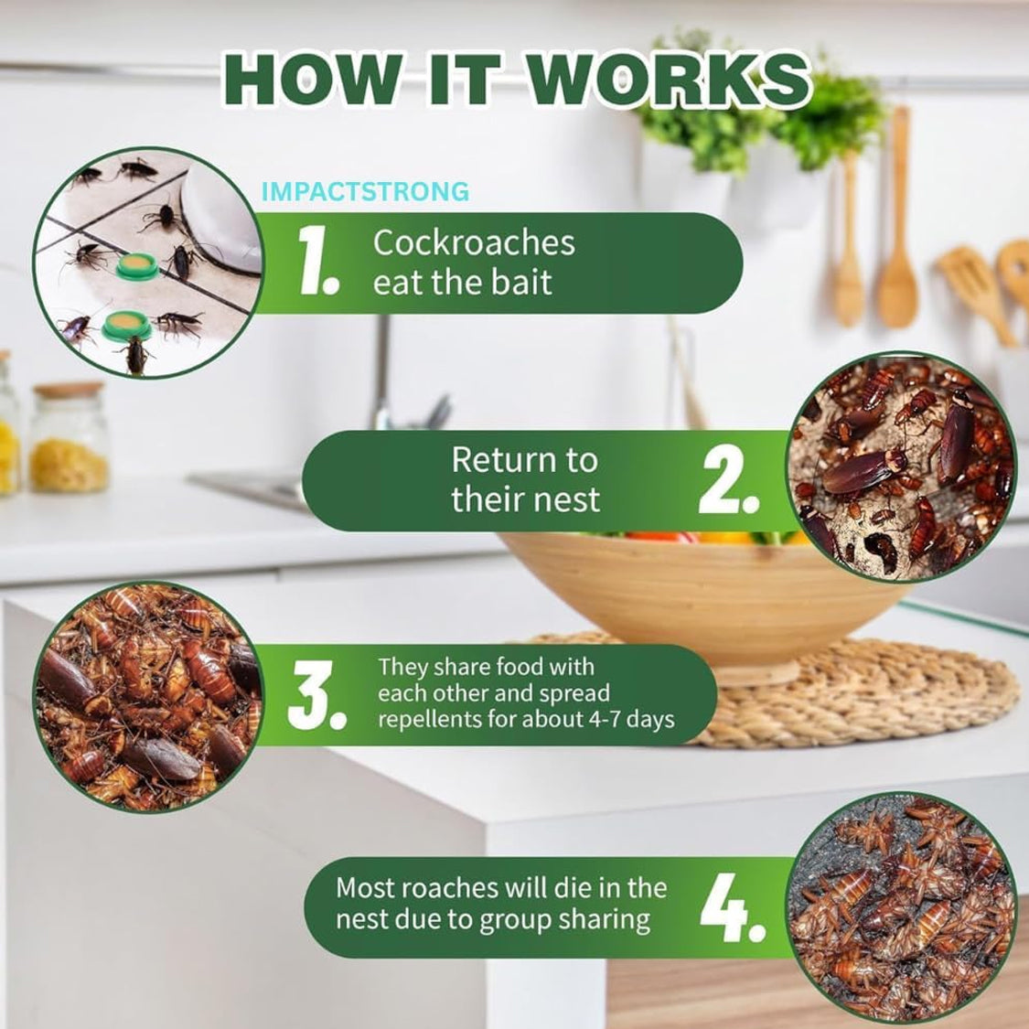 Natural Cockroaches Killer for Kitchens Bathrooms Cabinets