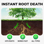 Cyclosinone Herbicide
